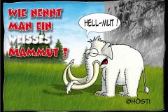 AAW-Hellmut-abg