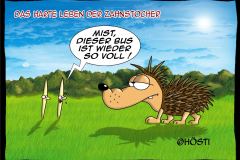 AAW Igelbus
