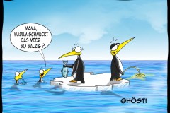AAW-Meer-schmeckt-salzig
