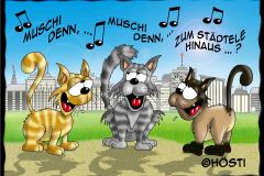 AAW Muschi denn offen
