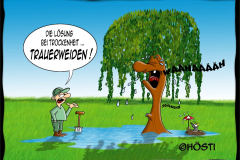 AAW-Trauerweide-Kopie