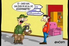 AAW-bockspringbetten