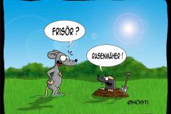 AAW-frisoer-neu