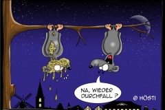 AAWdurchfall