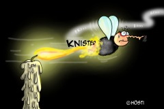 fliege und kerze 1 abgel