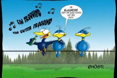 1_HBB-blaumeise
