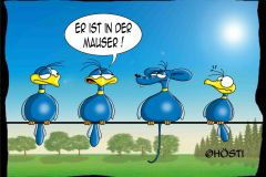 1_HBB-mauser-color