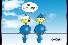 1_HBB-na-auch-hier