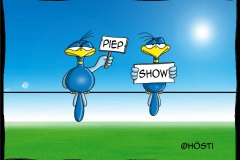 1_HBB-piepshow