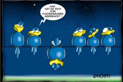 HBB-Fledermäuse