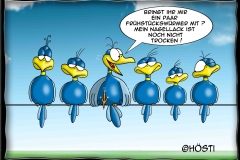 HBB Nagellack