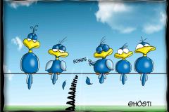 HBB-Schnipps