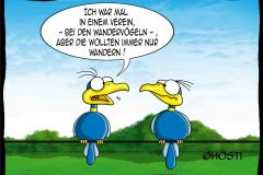 HBB-Wandervögel