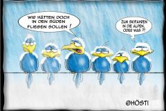 HBB-in-den-Süden