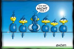 HBB-nicht-dick