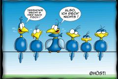 HBB-riecht-nach-fisch