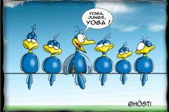 HBB-yoga