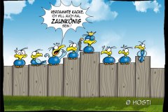 HBB zaunkoenig 1