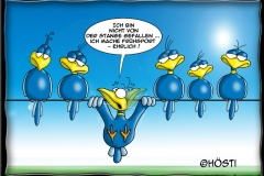 HBBfruehsport