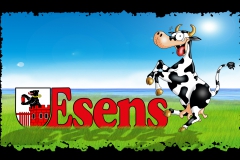 Blechschild Esens Elsa abg 100%