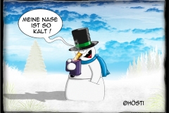 HSCHNasesokalt