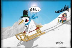 HSCHSchlittenklau