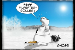 HSCHSilvesterboeller