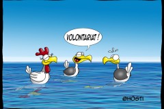 EK-Volontariat