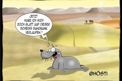 EK auf sandbank verlaufen