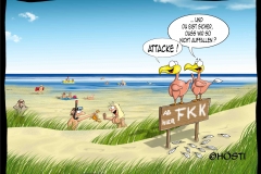 EK fkk 1