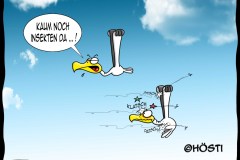 EK-kaum-insekten