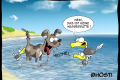 EK-keine-Wasserratte