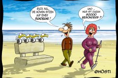 EK möwen auf ner sandbank frei