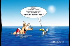 EK meerschwein