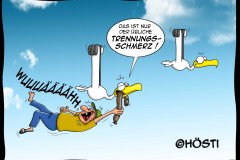 Ek-trennungsschmerz