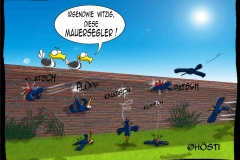 HVK Mauersegler