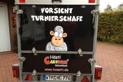 Foto 2 (2)