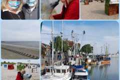 IMG-20200926-WA0025