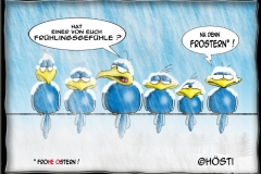 HBBFrostern