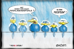 HBBFrostern