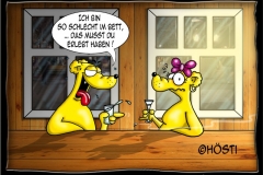 HBschlechtimbett