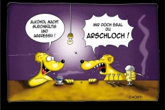 aggressiv