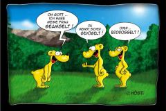geamselt