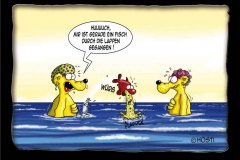 lappen