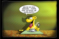 nudelsuppe