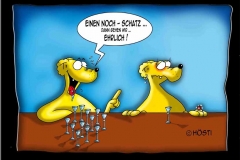 schatz