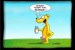 sowas