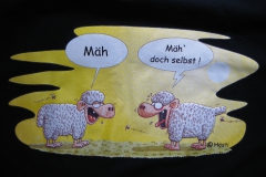 Hösti Artikel Ausfahrten usw 212
