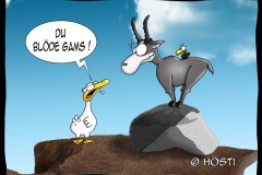 MUG-bloede-gams