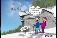 MUG-gaemse-fliegen-in-den-sueden-Kopie